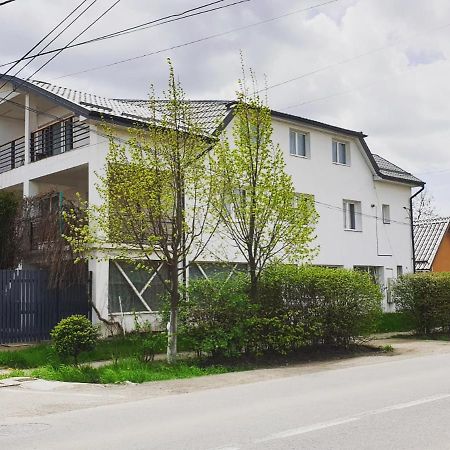 Casa Sâncrai Targu Mures Exterior foto