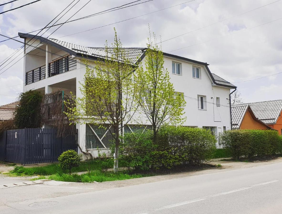 Casa Sâncrai Targu Mures Exterior foto